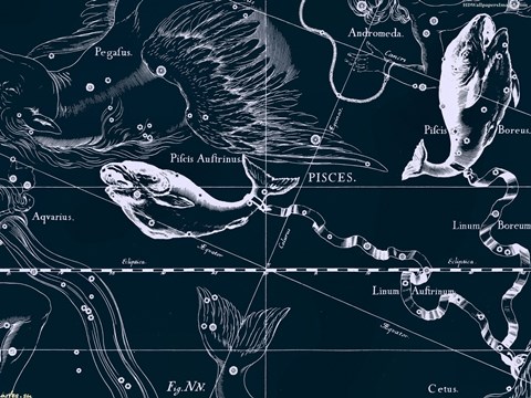 Pisces-Horoscope-Symbol-The-Zodiac-Sign-Artwork-Images