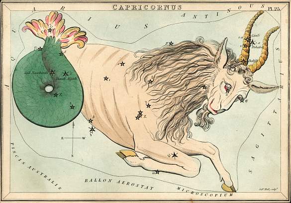 Capricorn_chart