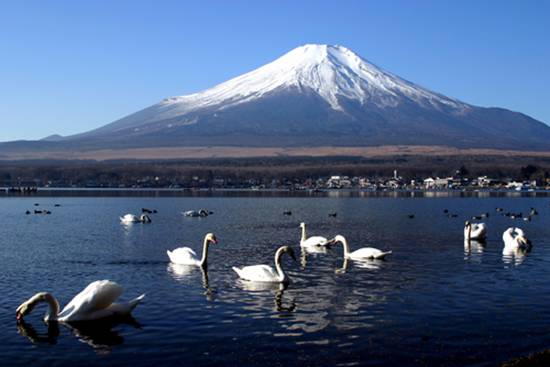 Mount-Fuji.jpg