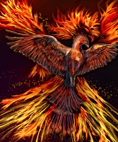 phoenix rising.jpg