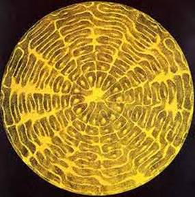 cymatic sun.jpg