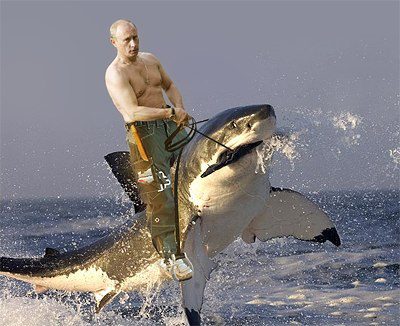 putin-on-a-shark