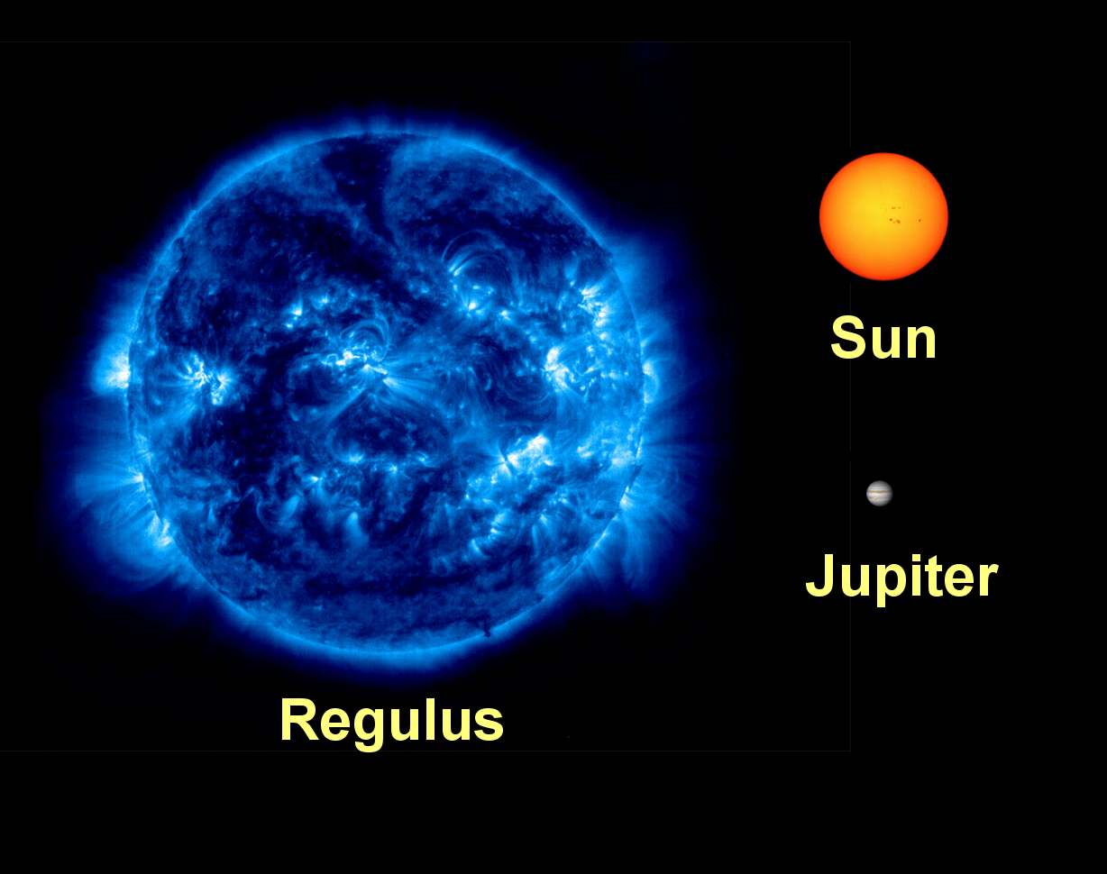 regulus_sun_comparison