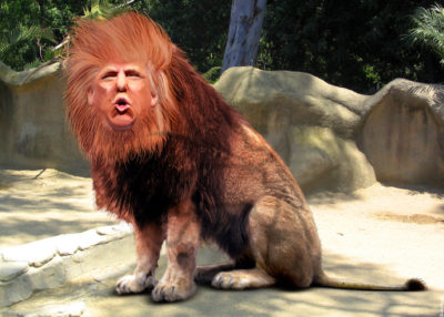 trump-lion